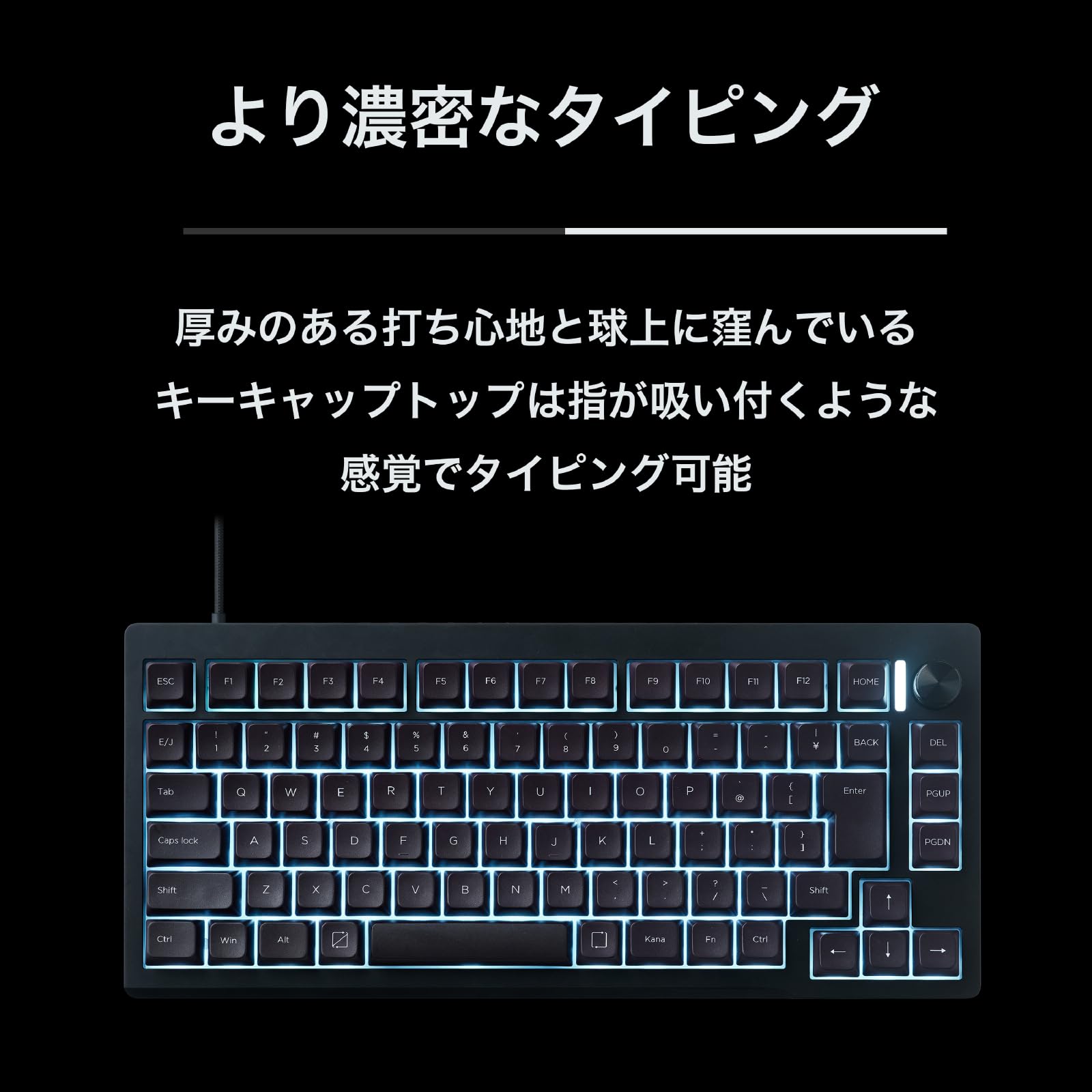 Amazon | プリンストン ULTRA PLUS UPトリガー対応 ゲーミング